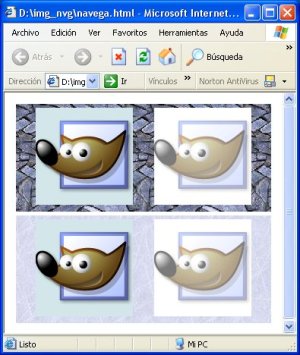 Visualizado con Explorer